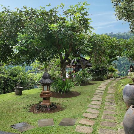 Villa Patria Ловина Экстерьер фото
